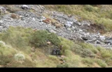 Polowanie w Nowej Zelandii - ile kóz widać na filmiku ?