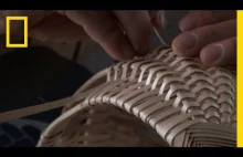 How to Make a Traditional Woven Basket from a Tree