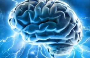 Najnowsze badania wskazują, że człowiek posiada zmysł magnetyczny