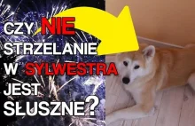 W Warszawie i Bydgoszczy nie będzie fajerwerków - Szyderczy Przegląd...