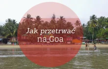 Jak przetrwać na Goa