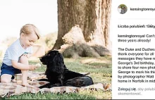 Książę George próbował zabić psa! - Blog o zwierzętach