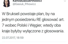 Posłanka Nowoczesnej rozpowszechnia nieprawdziwe informacje nt. Polski i Węgier