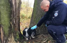 Policjanci uratowali wycieńczonego psa nad jeziorem Track w Olsztynie.