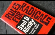 Rules for Radicals: An Analysis