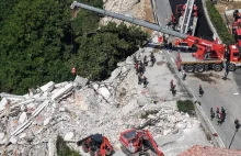Kotka przeżyła pod gruzami aż 12 dni po trzęsieniu ziemi we Włoszech