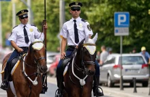 Broń palna dla Straży miejskiej? Planowane nowe uprawnienia dla straży miejskiej