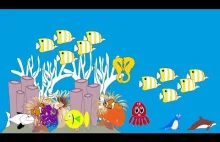 learn colors with baby - sea fish animals - Learn Colors with Balls