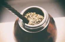 Yerba mate – w poszukiwaniu energii - Magazyn VIP