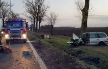 Jeleń wybiegł na drogę. 1 osoba nie żyje, 6 jest rannych.