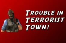 Serwerownia - Wykopowy serwer Trouble in Terrorist Town