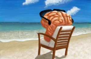 Jak działa mózg, gdy mamy „głowę w chmurach”