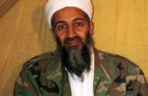 Osama Bin Laden Passed Time In Hiding With Cat Videos And Crochet ...