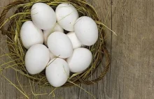 5 nietypowych zastosowań jajka