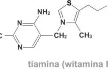 O witaminach z grupy B słów kilka - witamina B1