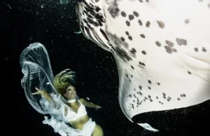 Modelki + morskie zwierzęta = sukces!