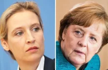 Merkel to "świnia pogrążajac Niemcy, przejmowane przez Arabów i Cyganów"