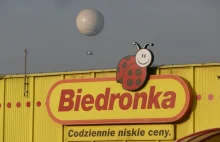 BIEDRONKA poszybowała w górę! Cieszy się nawet W. Cejrowski!