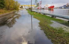 Nadal wysoki poziomy wód w Zatoce Gdańskiej. Tak wygląda gdański port (zdjęcia)
