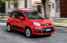 Fiat panda jednak nie wróci do Polski