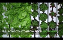 Climate-Controlled Growing Inside the Leafy Green Machine