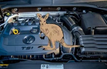Samochody z silnikami 1.5 TSI mają kłopot z ruszaniem. Robią „kangury”
