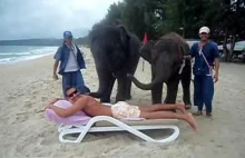 śmieszne zwierzęta- masaz w wykonaniu slonia