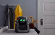 Vector to robot-asystent, na jakiego czekaliśmy