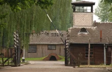 Muzeum Auschwitz: odnaleziono tysiące przedmiotów należących do ofiar!