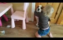 Winny pies i reakcja dziecka na jego "zbrodnię"