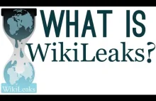 Czym jest WikiLeaks? [ENG]