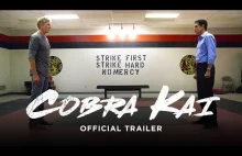 Sequel Karate Kid z aktorami z pierwszej części