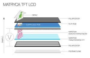 Jak działa wyświetlacz LCD?