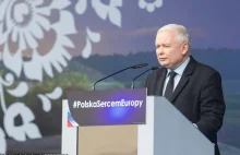 Wybory do Europarlamentu 2019. Polacy zabrali głos. Wiosna rośnie, KE spada