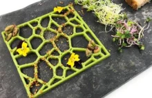 W Holandii otwiera się pierwsza restauracja z żywnością drukowaną 3D