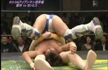 No więc właśnie się dowiedziałem, że w Japonii istnieje wrestling z lalkami o_0