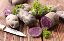 Fioletowe ziemniaki – wyróżniają się nie tylko kolorem, ale też właściwościami