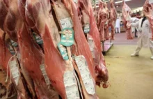 Francuscy kontrolerzy znaleźli 800 kg zepsutego mięsa z Polski