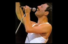 Historia sukcesu - Freddie Mercury