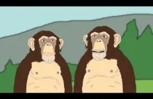 Teoria naćpanej małpy