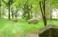 Cmentarz koni w Janowie Podlaskim