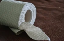 Sejm unieważnia przetarg na papier toaletowy. Żadna oferta nie spełniała wymagań