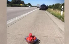 Policjanci jechali autostradą, gdy zobaczyli na poboczu stosik papryki