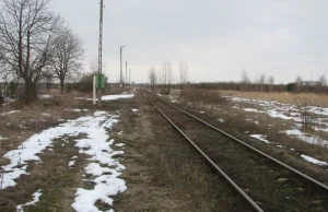 Dalanówek - tam naprawdę jest przystanek kolejowy!