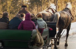 Do Morskiego Oka saniami po asfalcie