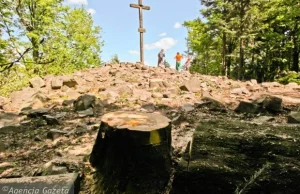 Piłą w serce gór. Na szczycie Łysicy wycięto 13 jodeł i buków