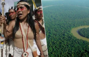 3 mies. przed pożarami plemię Amazonii wygrywało proces sądowy przeciwko Big Oil