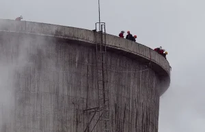 Greenpeace, czyli ekoterroryści