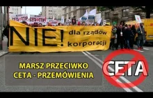 Protest przeciwko CETA w Warszawie - Przemówienia
