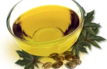 Olejek rycynowy - 14 powodów dla których olej rycynowy jest potrzebny!